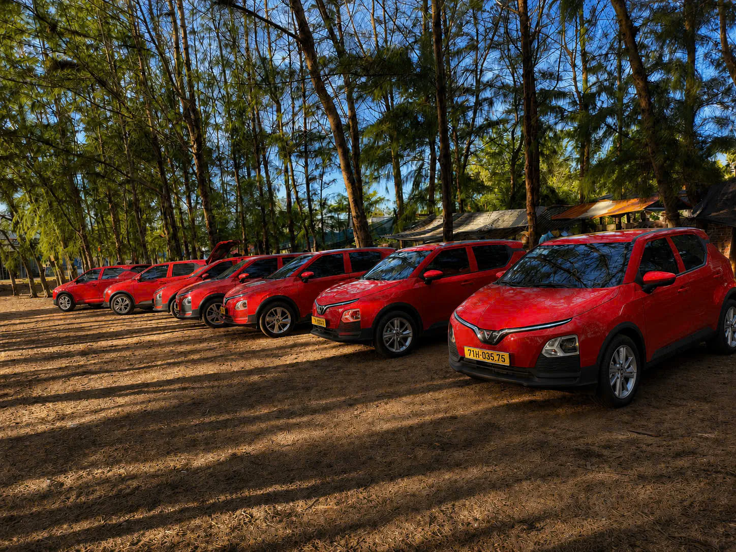 Đội xe điện Taxi Điện Thạnh Phú tại khu vực nhiều cây xanh